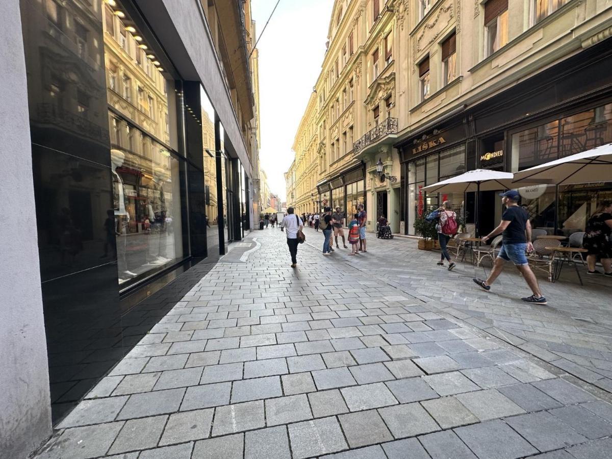 Gorkeho Apartment In City Centre Μπρατισλάβα Εξωτερικό φωτογραφία